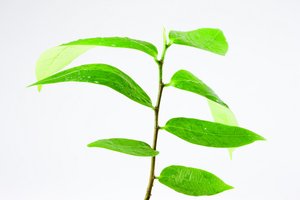 平台全方位解析